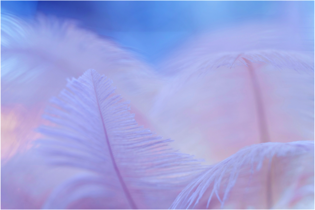Main image Light as a feather