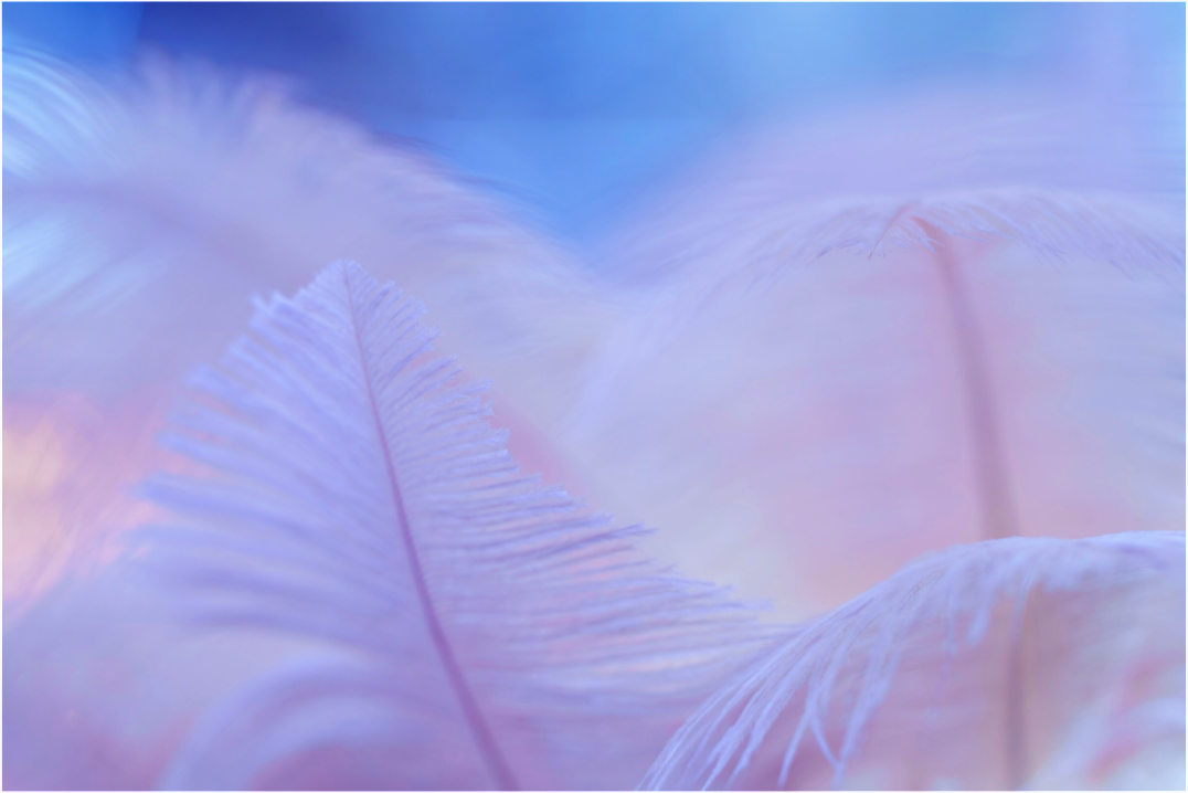 Main image Light as a feather