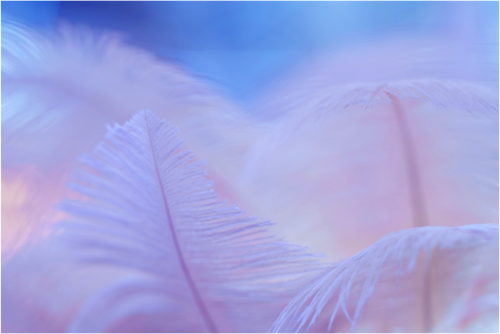 Main image Light as a feather